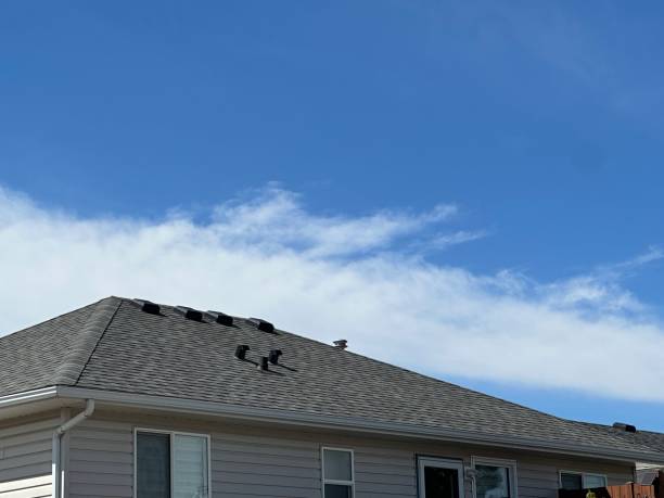 Best Roofing for New Construction  in Channahon, IL